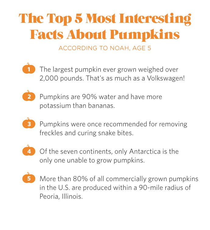 http://media3.handmadecharlotte.com/wp-content/uploads/2015/10/pumpkin-facts2.png